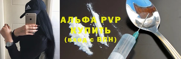 молекула духа Карпинск