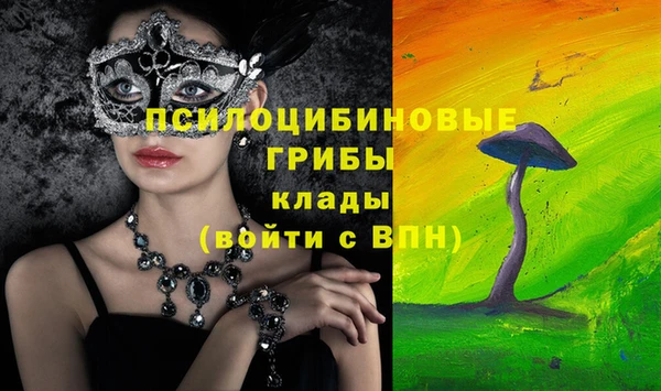 сатива Каменногорск