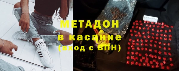 сатива Каменногорск