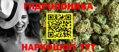 apvp Заволжье