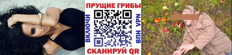 Галлюциногенные грибы мухоморы  что такое наркотик  OMG tor  Обнинск 
