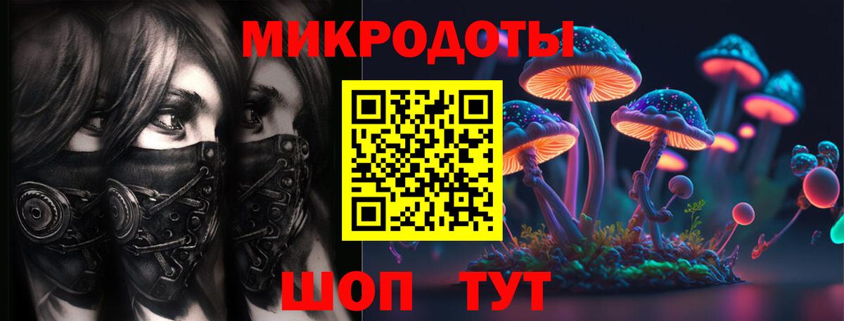 Галлюциногенные грибы Psilocybe  Вход с VPN  Обнинск 